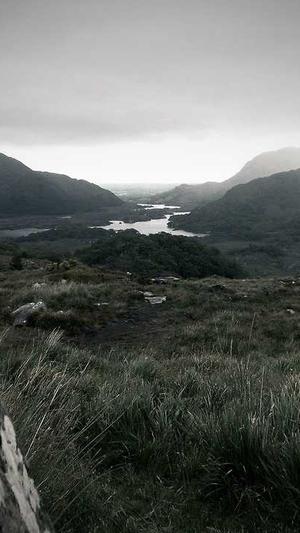 黑料不打烊app下载截图4