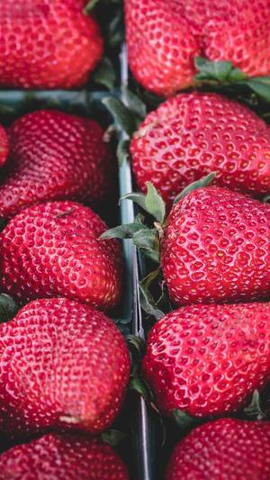 黑料不打烊app下载截图3